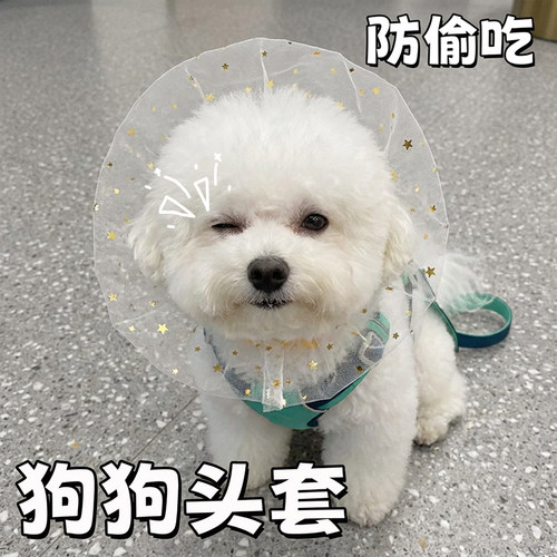 狗狗乱偷吃头套宠物项圈防乱舔