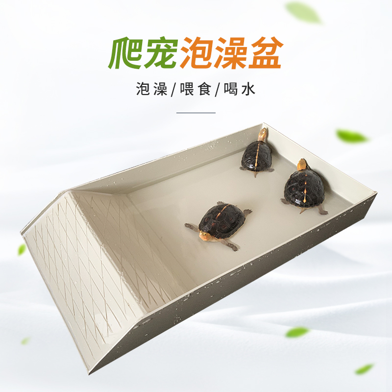 乌龟喂水盆黄缘饮水器塑料大号陆龟泡澡盆爬宠蜥蜴角蛙守宫洗澡槽