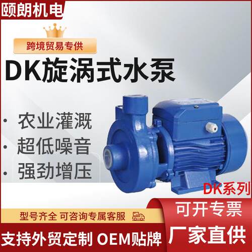 外贸DK漩涡式水泵大流量高扬程纯铜电机家用增压泵Water pump