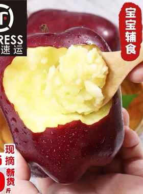 天水花牛苹果新鲜水果正宗甘肃当季糖心蛇红果粉沙甜苹果糖心顺丰