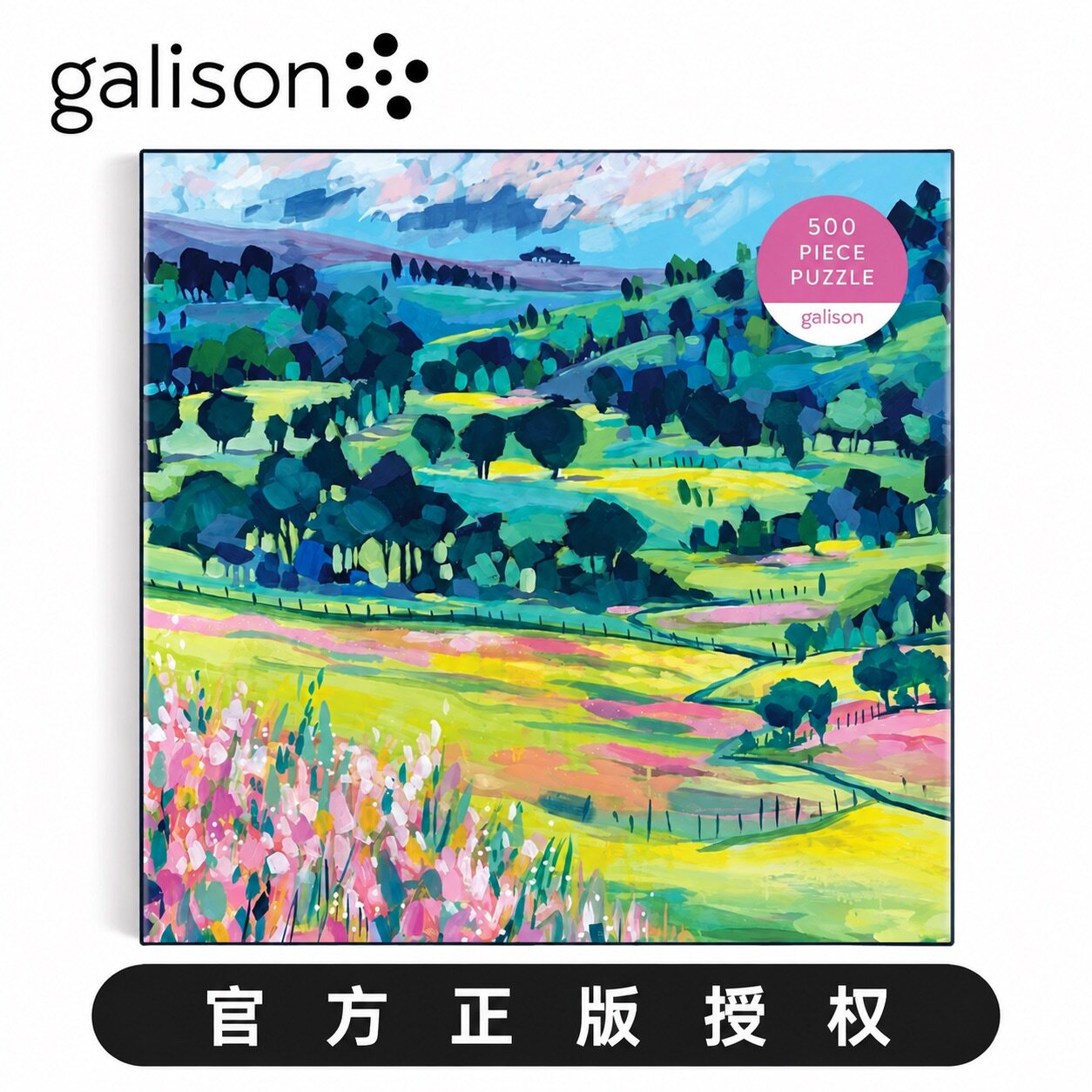 Galison正版《彩绘山丘》500片