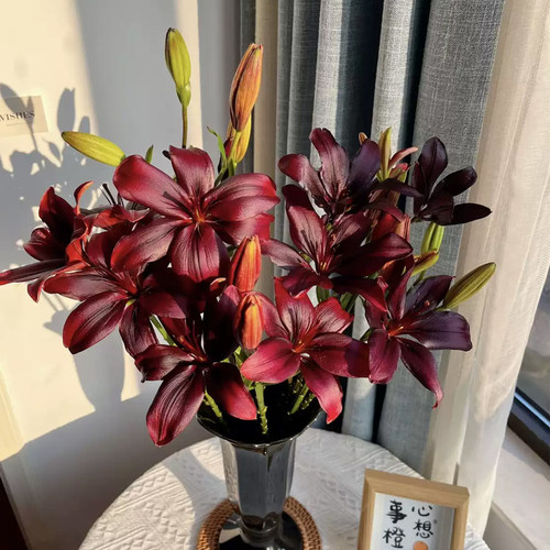 高级黑红色黑宝石亚百合无香型油画质感花苞小巧家庭办公水养鲜花