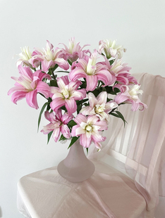 稀有品种戴安娜粉蝶重瓣百合多头浅粉色室内水养鲜切花云南直发
