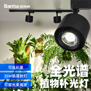 Barrina全光谱植物轨道射灯鹿角蕨绿植花卉仿太阳植物墙补光灯