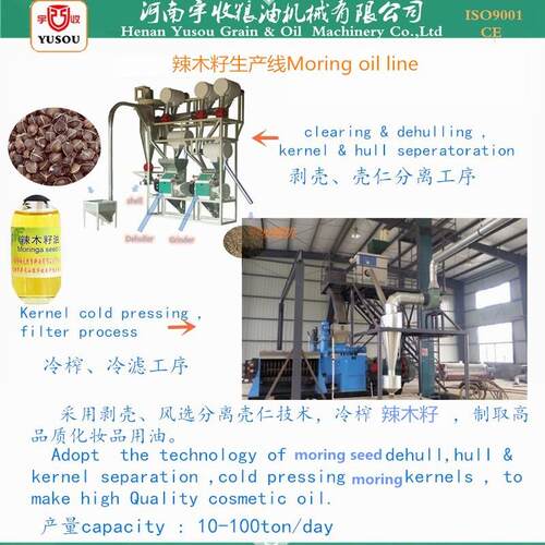 辣木籽油生产线 辣木籽榨油设备 辣木籽榨油机 moringa oil line