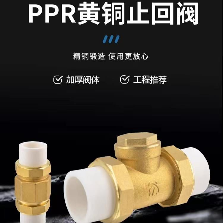 卧式ppr止回阀热熔双活接铜单向阀立式4分6分1寸20 25 32水管配件