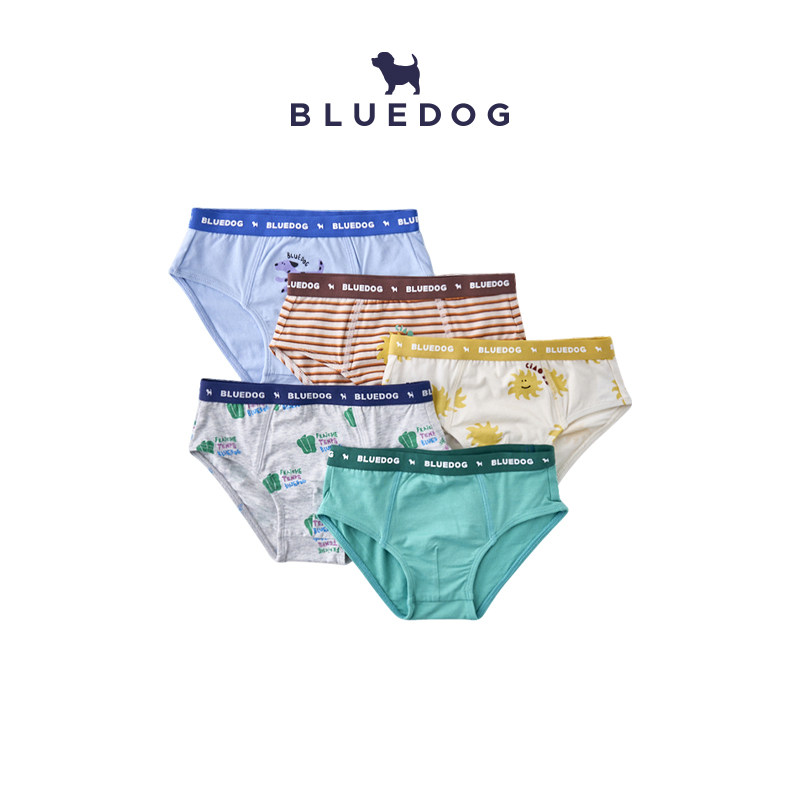 BLUEDOG蓝狗春夏男童三角内裤5件套运动儿童潮简约男童内裤