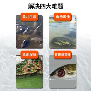 鱼池水循环BRJ过滤系统大型锦鲤庭池净水过器滤院室水池外置外过