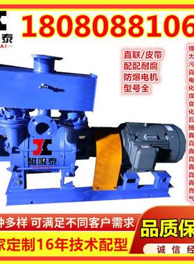 2BEA/1/C203水环式真空EJJ泵37KW水3循环真泵18.M3/m8in液环空真