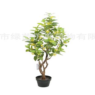 仿盆栽花树盆景岩桂树摆件木犀CDB树东桂莞绿真茵绿植九里香装饰