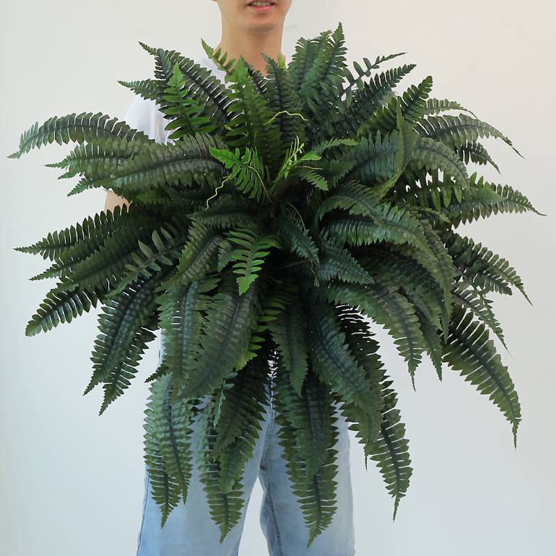 仿真绿植波斯草蕨类植物室内装饰假植物叶子假花景观草地假树造景