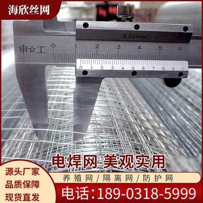 直销新款河北改拔电焊网抹墙电焊网 改拔丝电焊网圈玉米网喷塑电