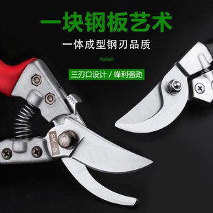 全钢剪树枝修枝剪摘水果花木剪刀园林果树花卉枝嫁接X园艺剪刀工