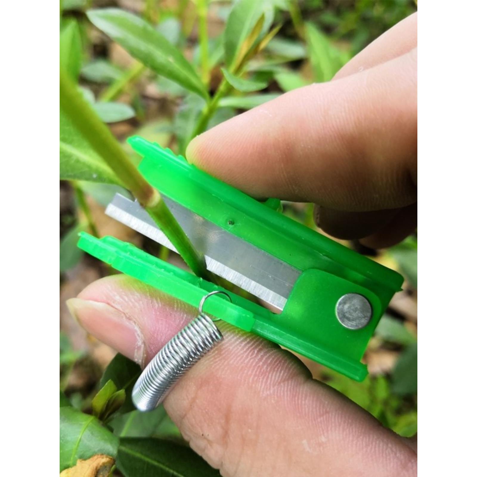 摘去指菜角方戒指摘葡萄掐须打尖铡刀便快刀小手豆叶采摘采摘工具