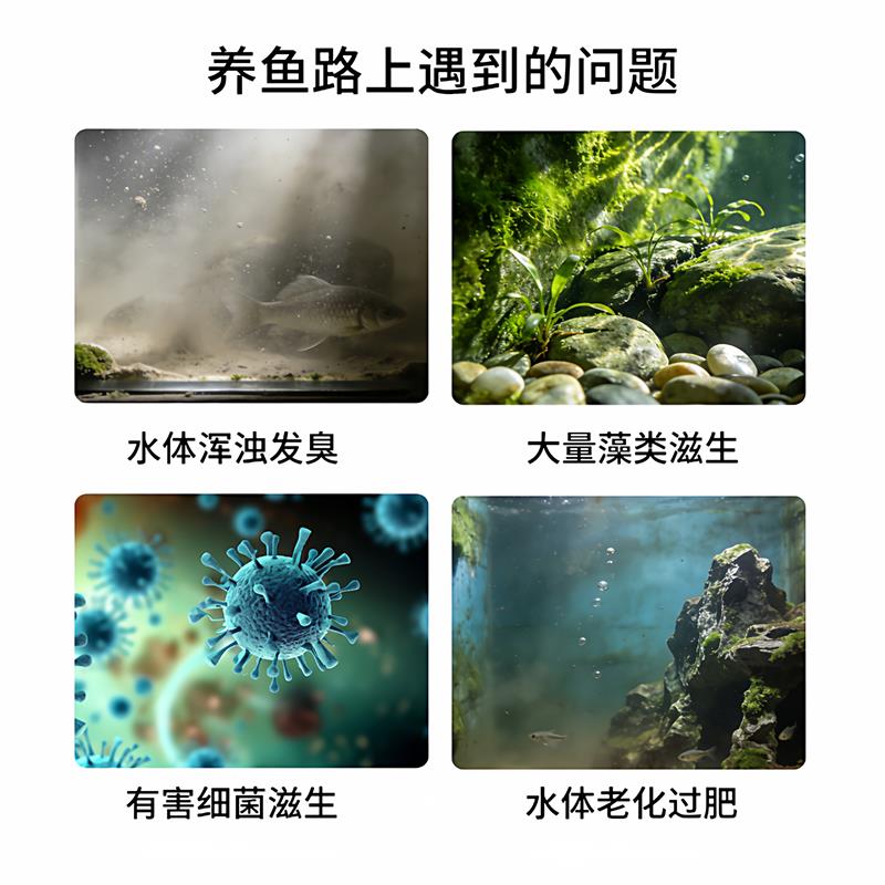 鱼缸UV杀菌灯迷你带罩可定时除藻灯小型鱼缸专用紫外线除藻灭菌灯