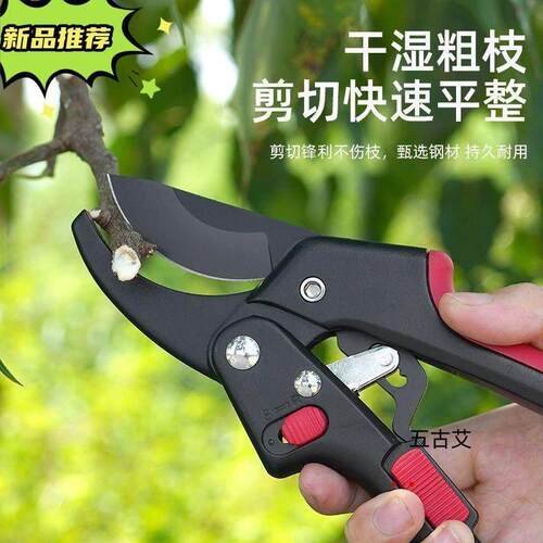 助力果树修枝剪树枝花艺枝剪子粗枝剪枝园林工具省力修剪园艺剪刀