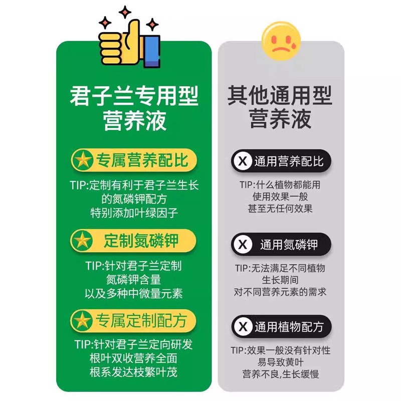君子兰肥料专用营养液开花素治不开花拔剑促箭剂爆芽催花免稀释肥