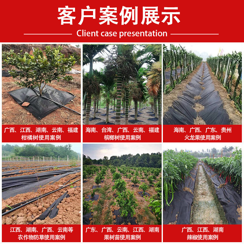 防草布地膜厂家直销耐用果园果树农用加厚盖草透水生态除草地布