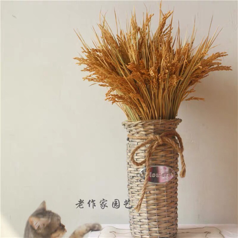 真花稻穗干花水稻丰收稻谷稻子家居装饰会展布置拍摄道具田园植物