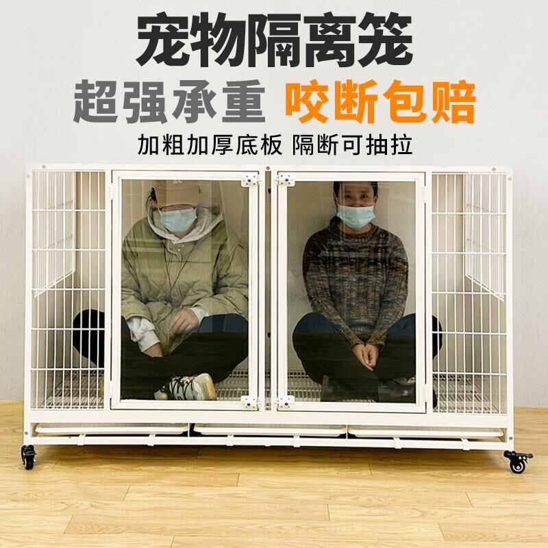 宠物店狗笼子展示柜寄养笼宠物住院笼猫咪笼猫狗一体组合笼寄养柜