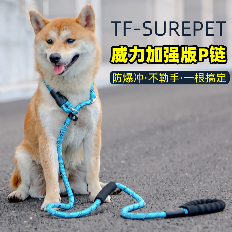 狗狗训犬p链p绳金毛拉布拉多阿拉斯加牵引绳中大型犬遛狗绳狗链子,宠物/宠物食品及用品,狗牵引绳,淘宝优惠券,粉丝福利购,淘宝优惠卷