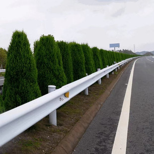 塔柏树苗蜀侩树苗侩柏树苗侧柏树苗刺柏树苗荒山复绿速公路绿化