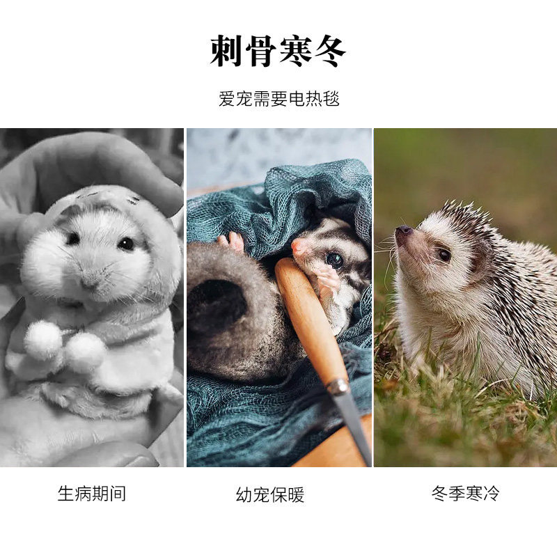 宠物冬季保暖饲养箱加热电热毯仓鼠刺猬蜜袋鼯箱子爬宠加温控用品,宠物/宠物食品及用品,笼子,淘宝优惠券,粉丝福利购,淘宝优惠卷