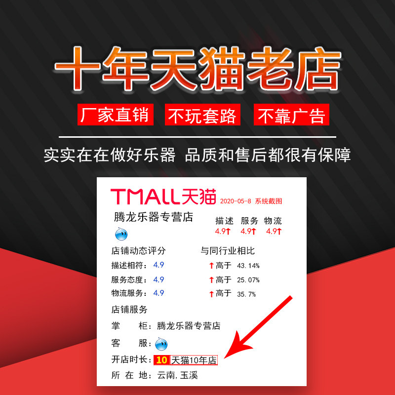 傣竹之韵黑檀木葫芦丝c降bfga调专业演奏型成人初学云南乐器演奏