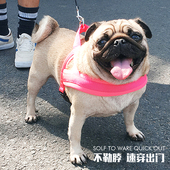 狗狗牵引绳胸背带泰迪法斗巴哥柯基柴犬边牧小中型犬遛狗绳狗链子