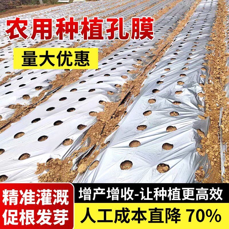 农用种植打孔地膜黑膜防草菜地玉米开孔带孔薄膜银黑地膜免打孔膜