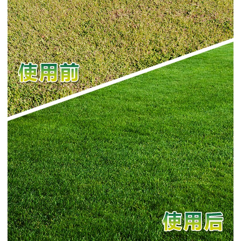 草坪专用肥料庭院花卉草坪专用苗木有机肥叶面肥颗粒缓释肥包邮