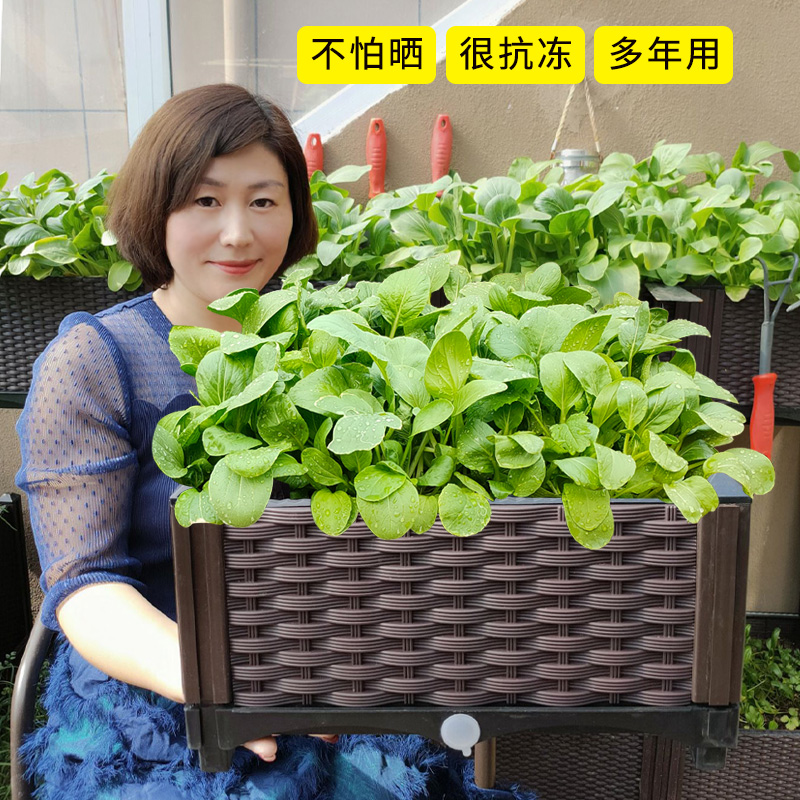 让利特大花箱塑料藤编花盆长方形种菜盆阳台种菜箱花架蔬菜种植盆