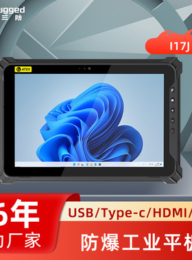 亿道I17J防爆平板电脑windows系统平板电脑插卡10.1英寸工业pad