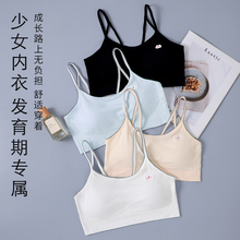 大童女童内衣女发育期学生初中生少女儿童纯棉小背心一二阶段文胸