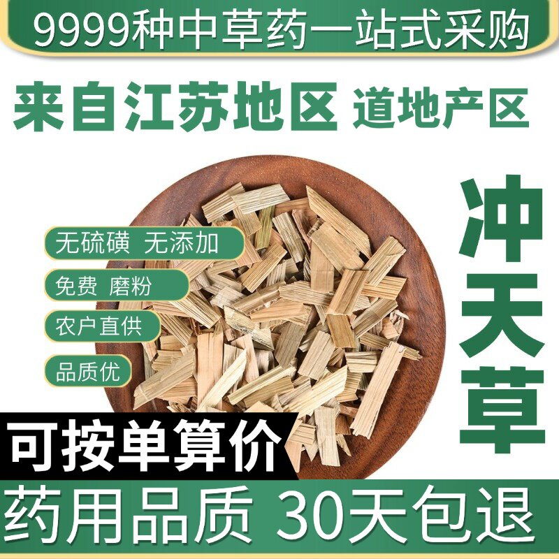 特级水葱冲天草苻蓠 莞蒲 夫蓠 葱蒲 莞草 水丈葱50克原产地直发