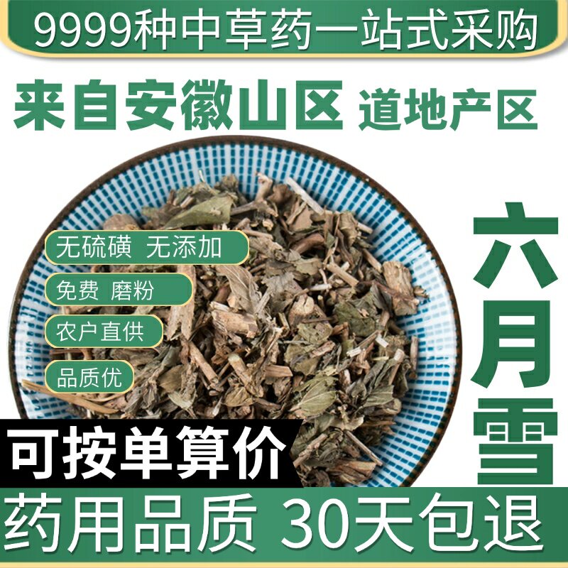 特级六月雪50克正品新货满天星碎叶冬青白马骨中草药原产地直发农