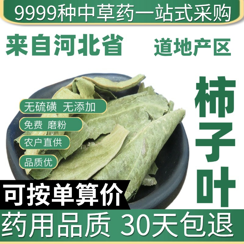 中药材特级天然柿子叶 正品新货霜后柿子叶茶 干柿子叶50克