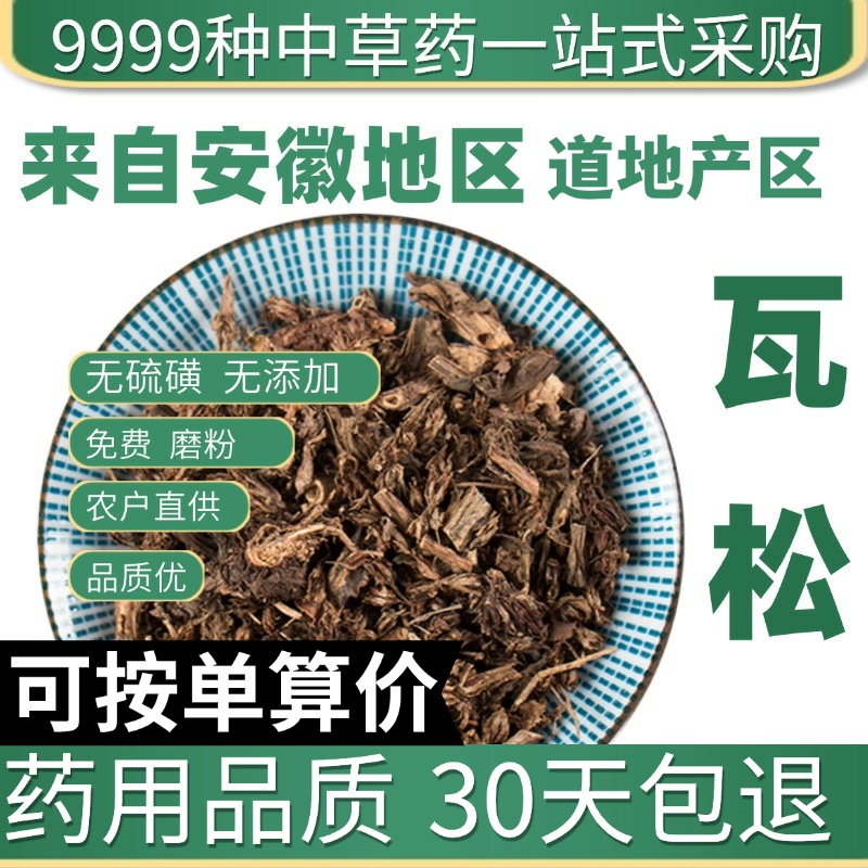 中药材特级野生瓦松 瓦松花 流苏瓦松 向天草 正品天王铁塔草50克