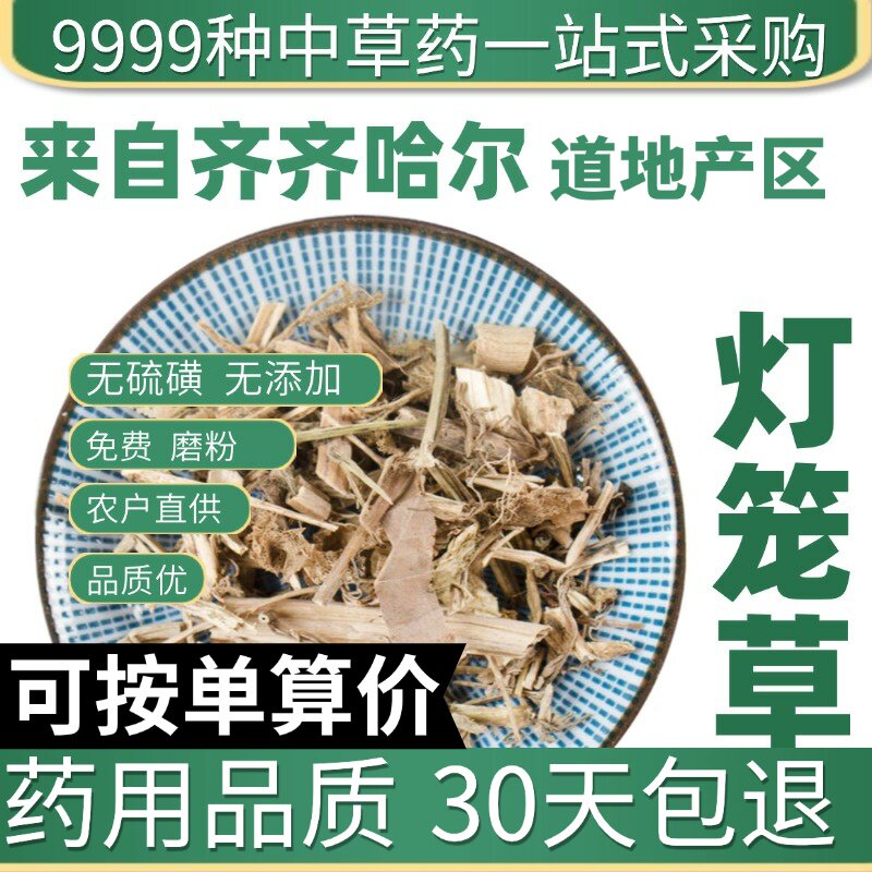 特级灯笼草 灯笼泡草打额泡 天泡草 黄灯笼 挂金灯50克原产地直发