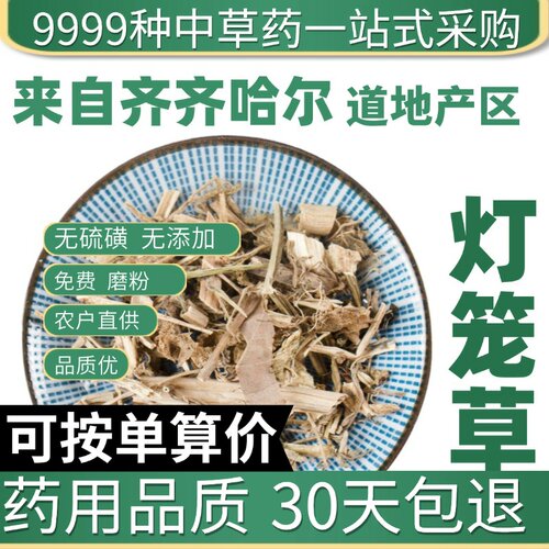 中药材特级野生灯笼草 灯笼泡草打额泡 天泡草 黄灯笼 挂金灯50克