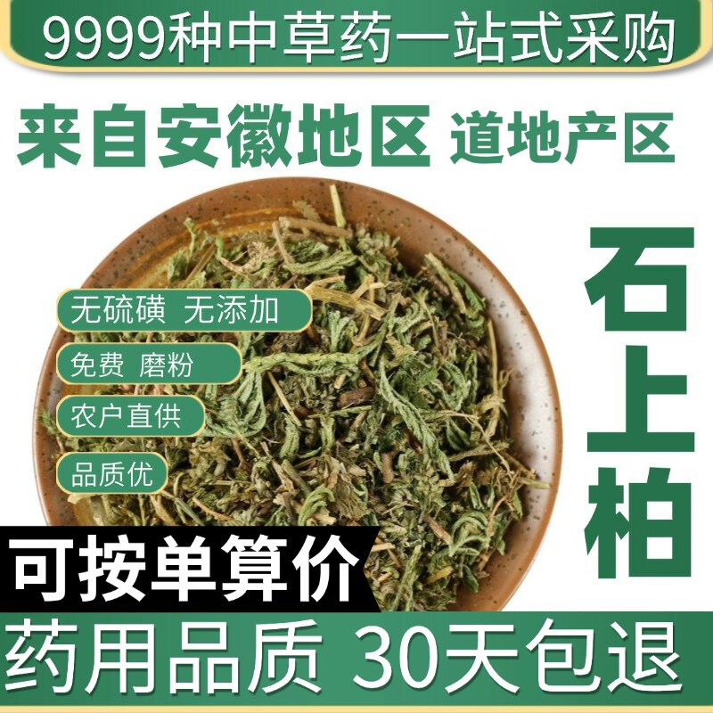 特级石上柏50g新货正品深绿卷柏地侧柏梭罗草金龙草原产地直发农
