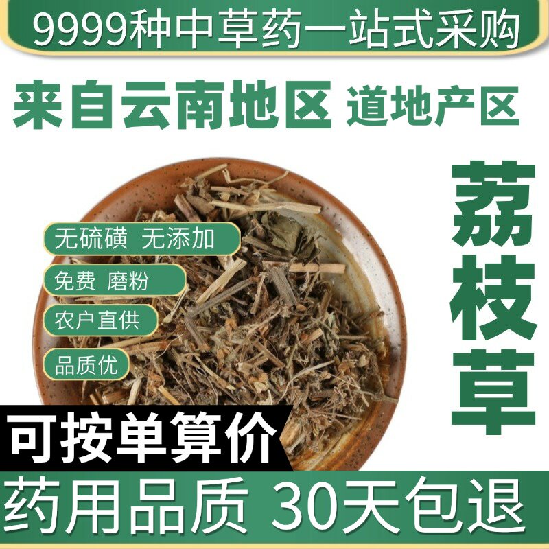特级荔枝草 蛤蟆草 雪见草 癞蛤蟆草 青蛙草 50克原产地直发农家
