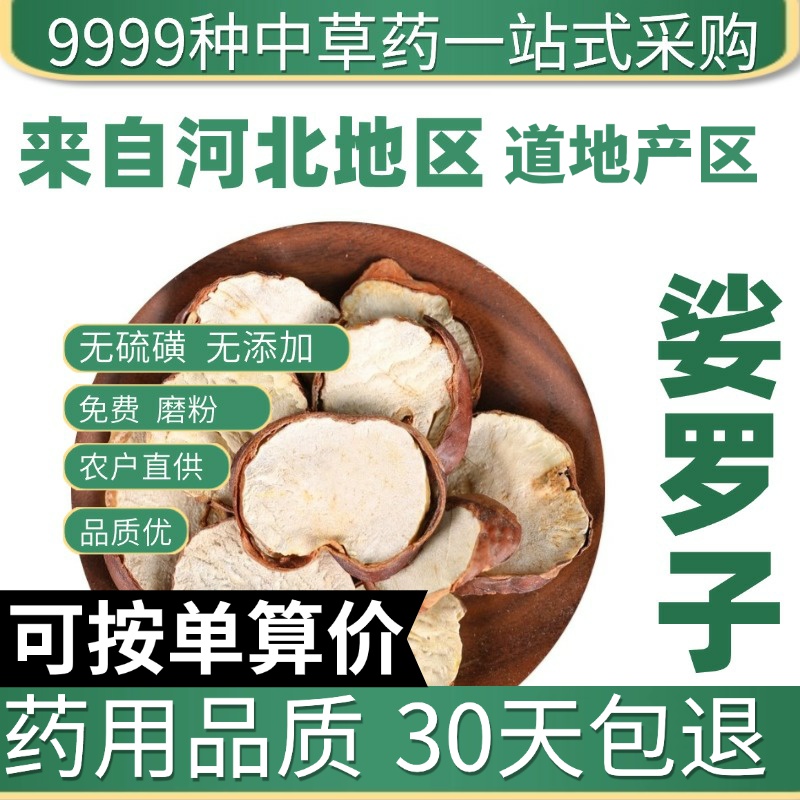 中药材特级野生娑罗子 天师栗 正品新货娑婆子 仙栗 苏罗子 50克