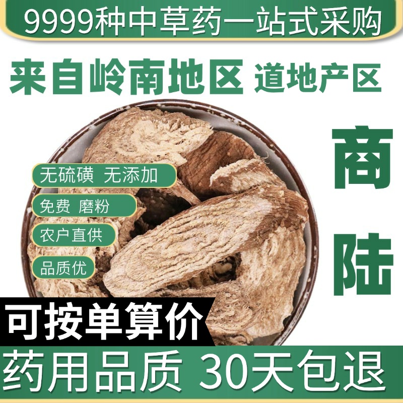 中药材特级野生 商陆 商路 正品新货山萝卜 水萝卜 当陆 50克