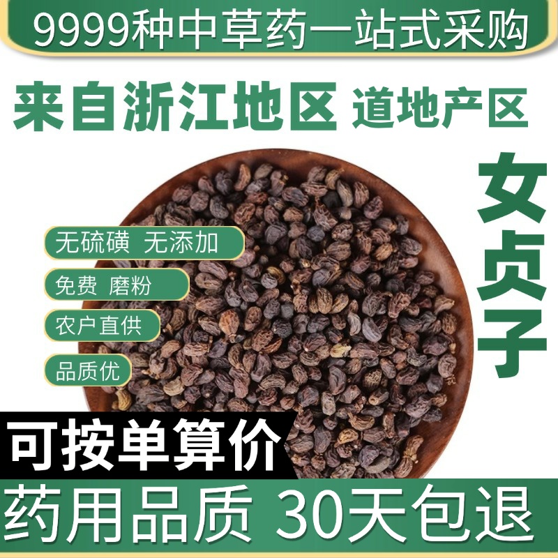 中药材特级正品野生女贞子50g克新货女贞子茶男人泡茶泡酒冬青籽