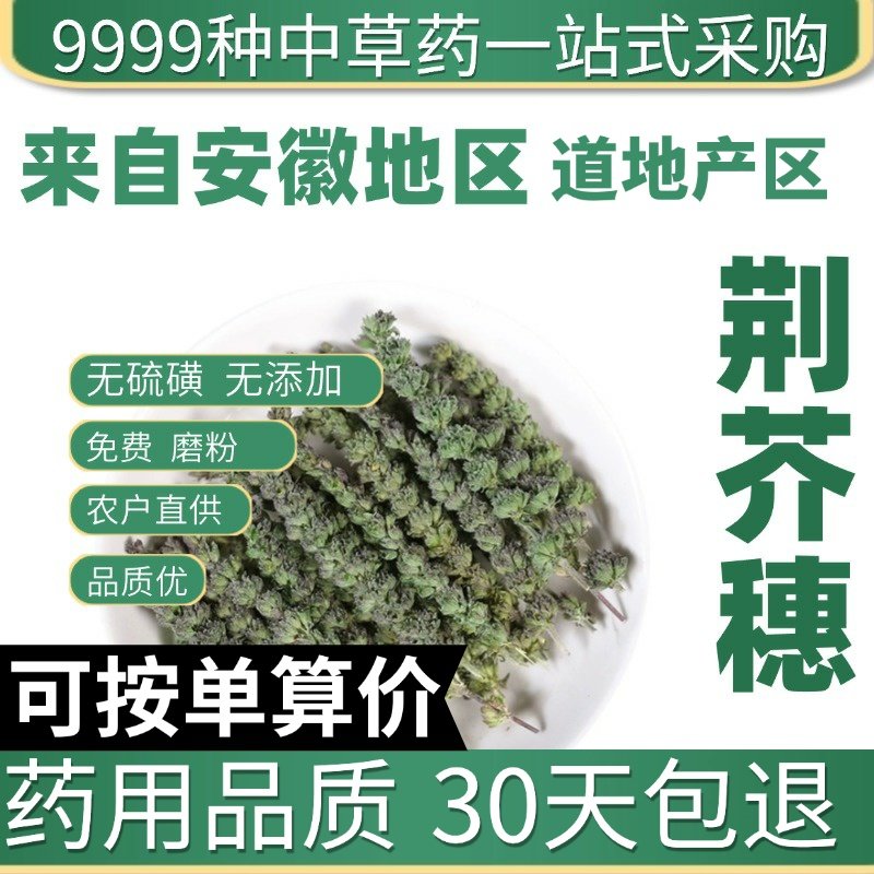 中药材特级野生荆芥穗50克荆芥干土荆芥正品新货荆芥穗炭荆芥穗粉