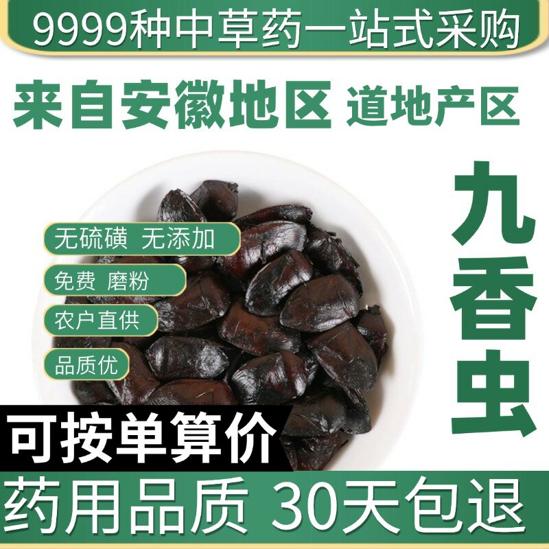 中药材特级野生九香虫 正品新货云南打屁虫屁巴虫臭壳子虫50克