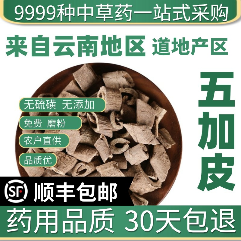中药材特级野生五加皮50g克南五加皮正品泡酒五谷皮干五加皮根片