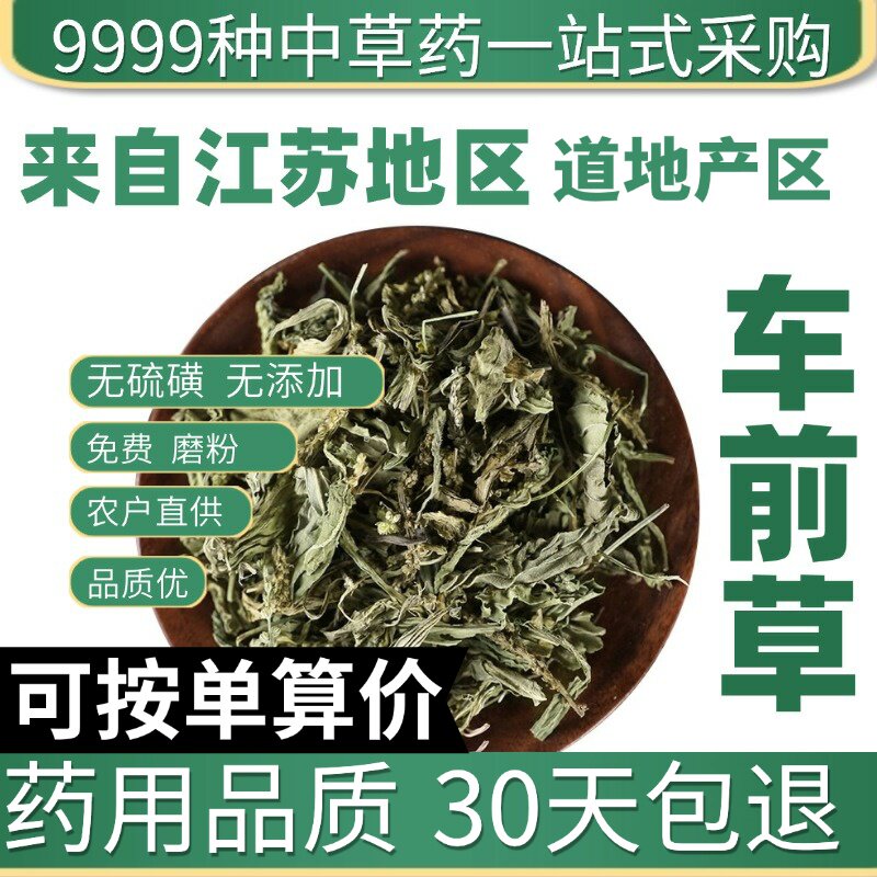 中药材特级野生车前草50g水洗车前草新鲜干货猪耳朵秧车茶草平
