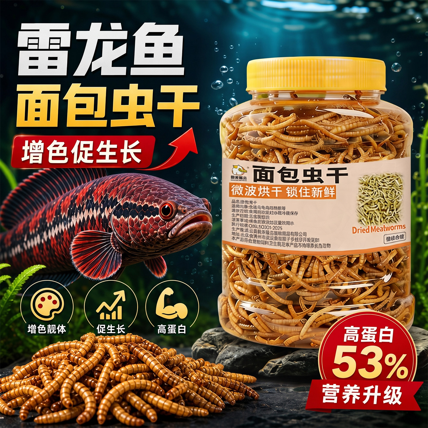 整罐~雷龙鱼面包虫饲料上浮虫干